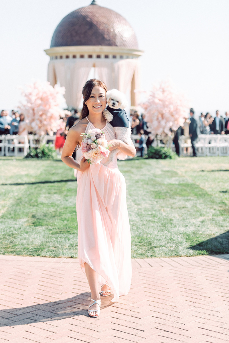 elevatedpulsepro.com | Coastal Chic Wedding Pelican Hill | Jana Williams Photography.jpg