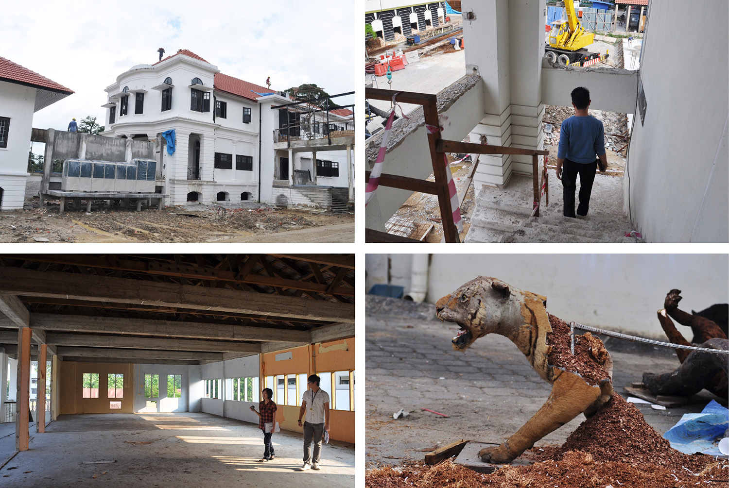 The museum buildings and grounds underwent major construction work, with new link bridges and landscaped gardens. The taxidermy tiger in the picture was an artefact left over from the first museum.