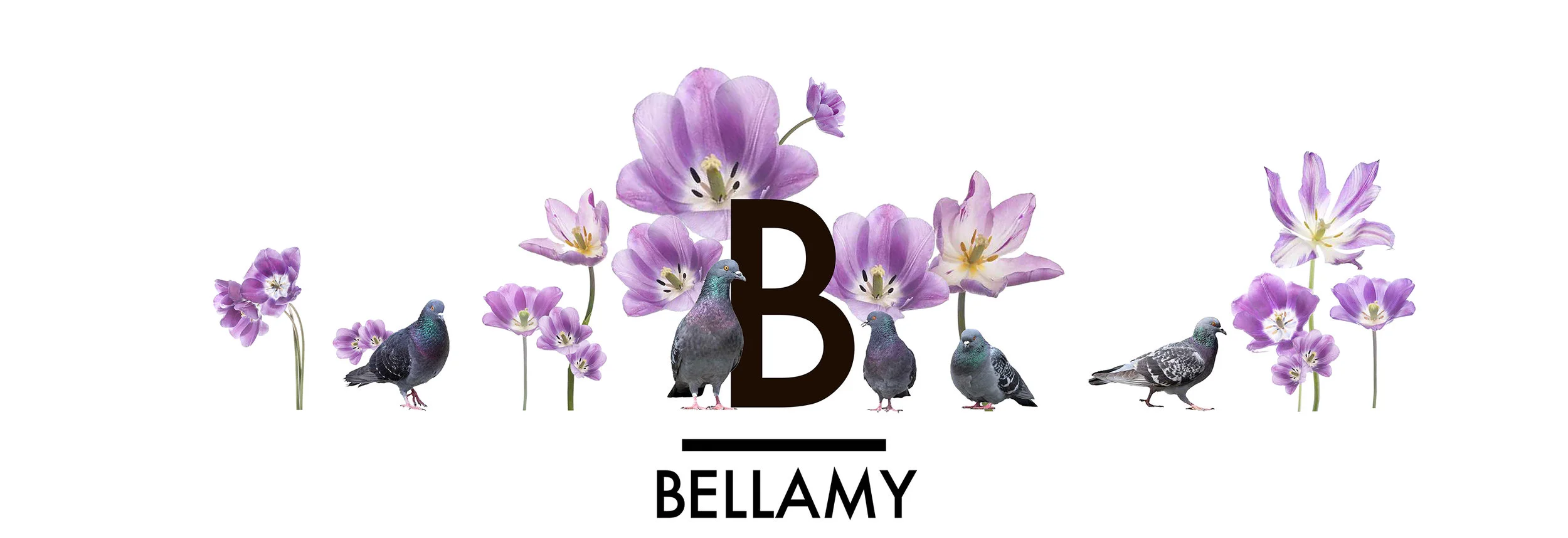 whwWeb_Arkadia_Corridor_Bellamy.jpg