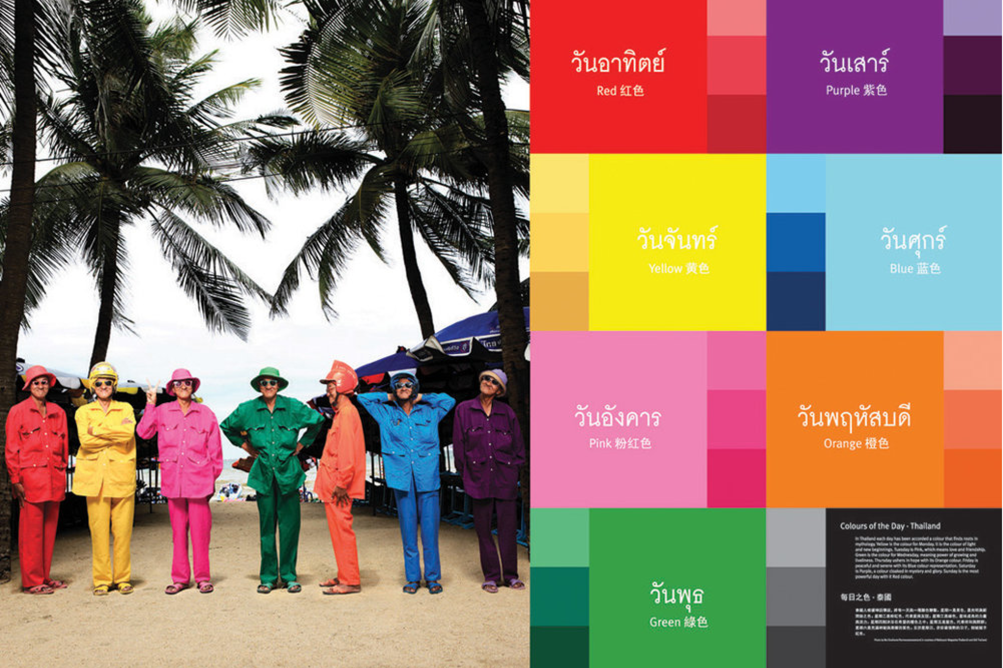 Artwork_Image_DFAA_Culture Award_Thai Colours.png