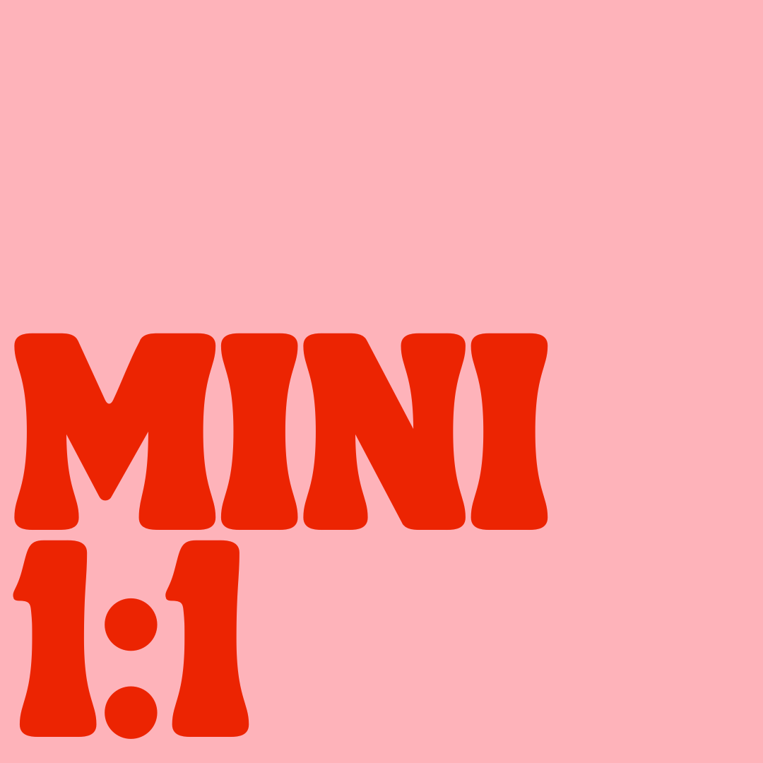 Mini 1:1