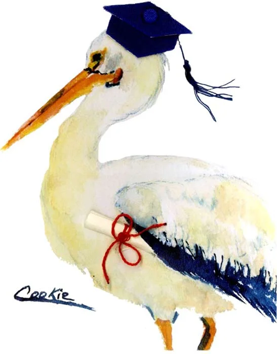 Lou_Graduate_Pelican.jpg