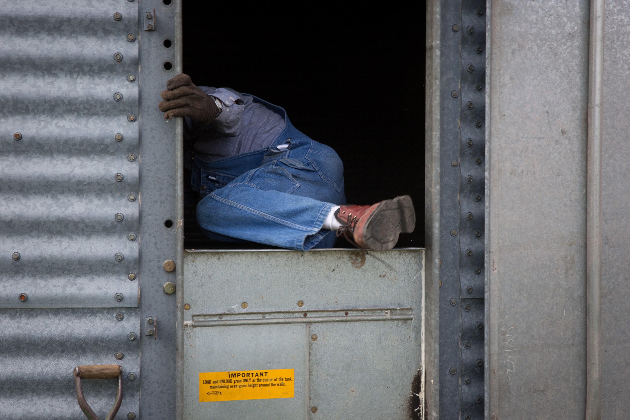 In preparation for the corn harvest, Carl climbs into the grain silo to sweep out the last of the wheat.
