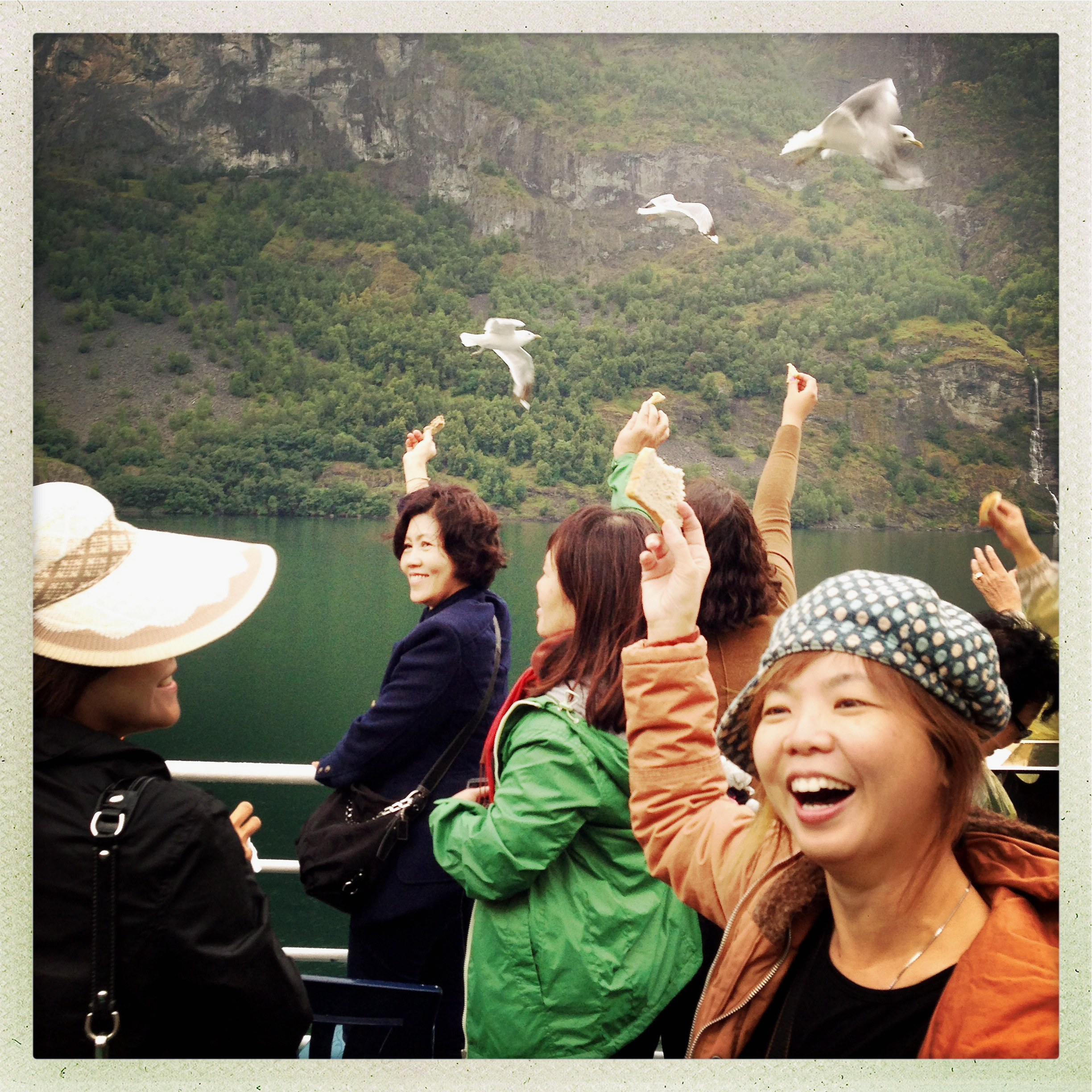 For the birds. Along the Fjords, Norway.