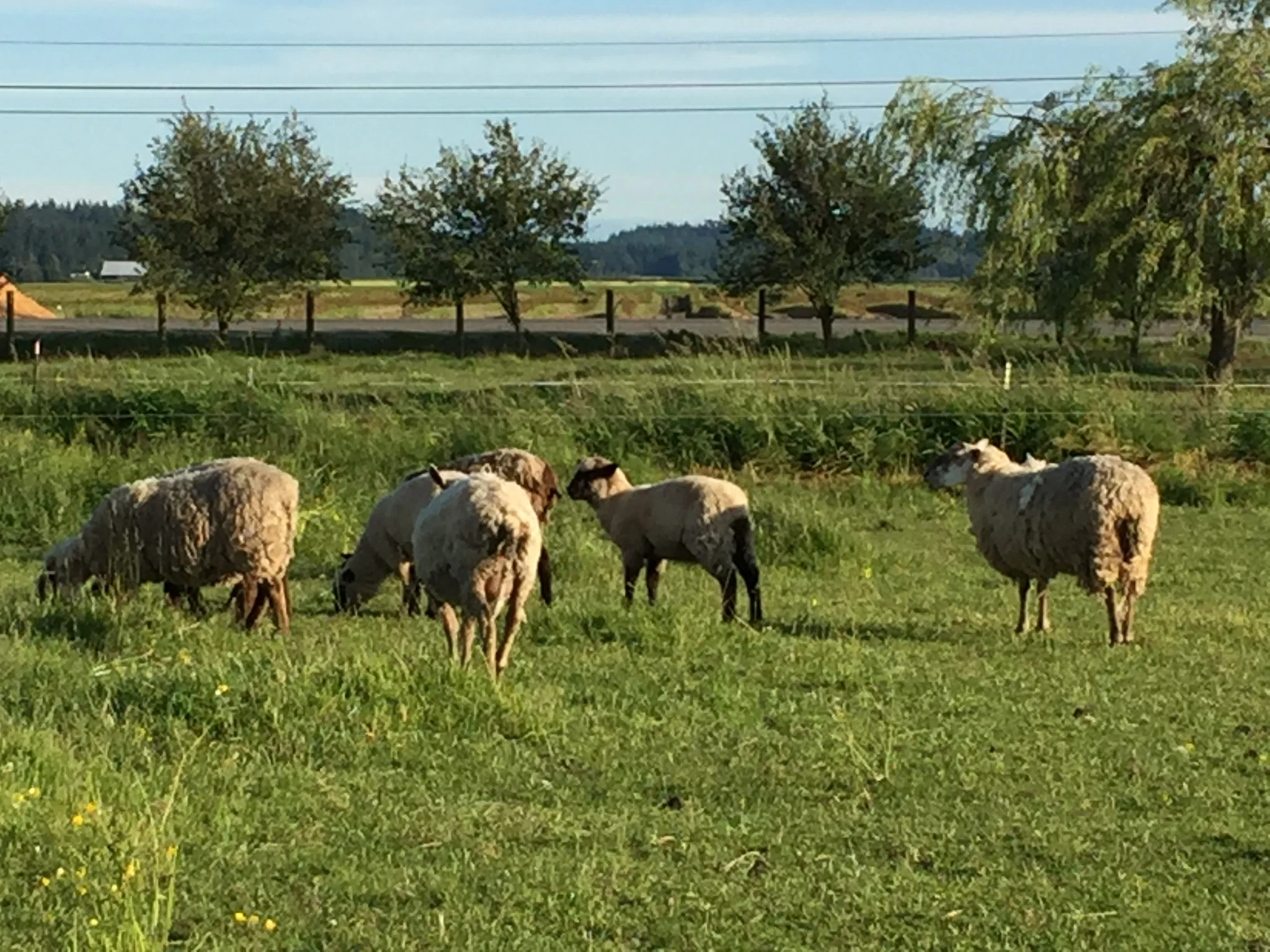 What's happening at the farm 