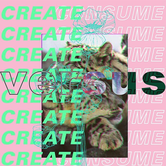 Do you create or just consume? Series 3
🐯🐯🐯