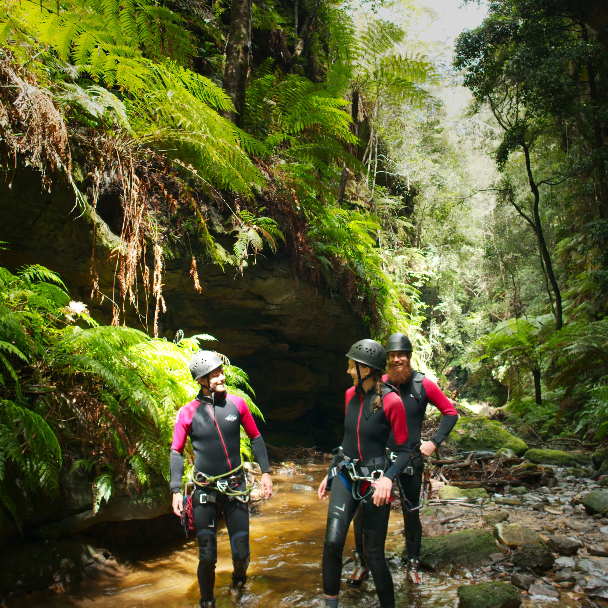 The Story Of Earth 1