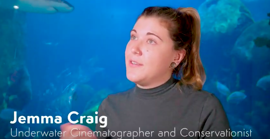 The Great Barrier Reef tours the US!