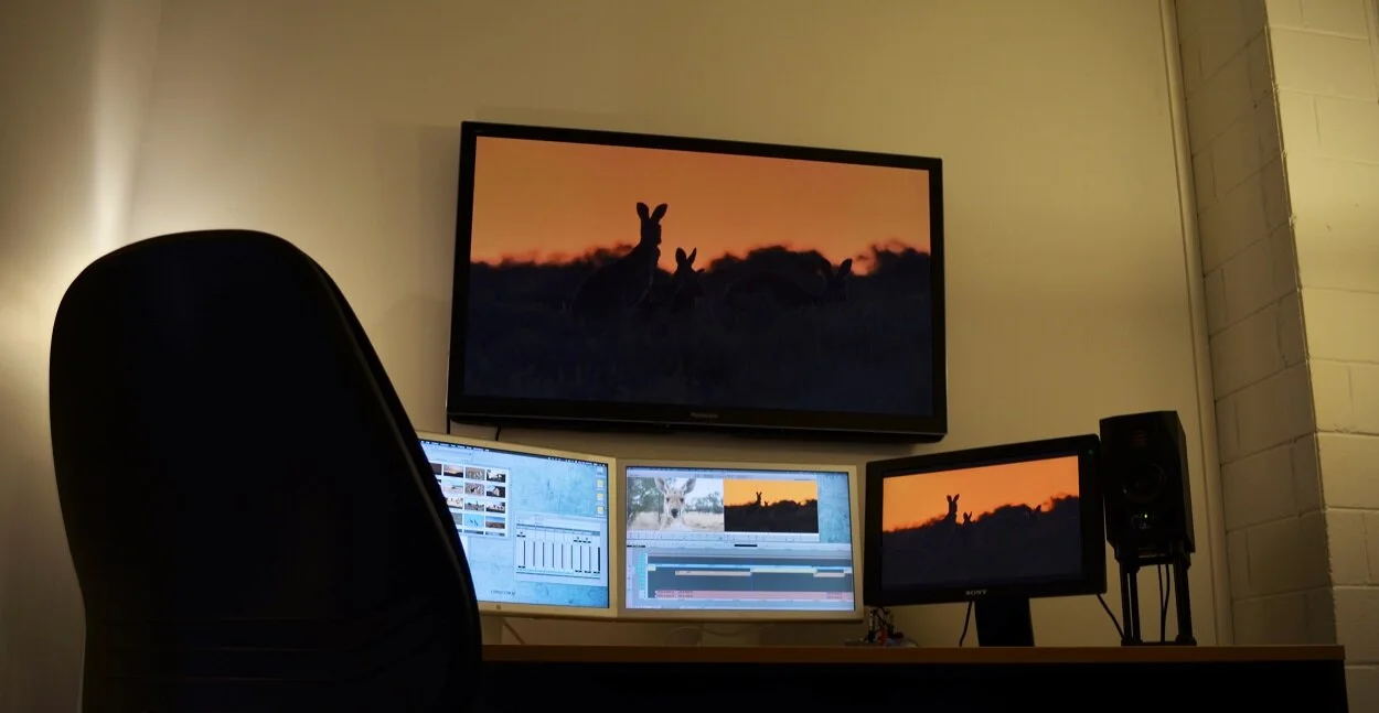 Offline and remote editing.jpg