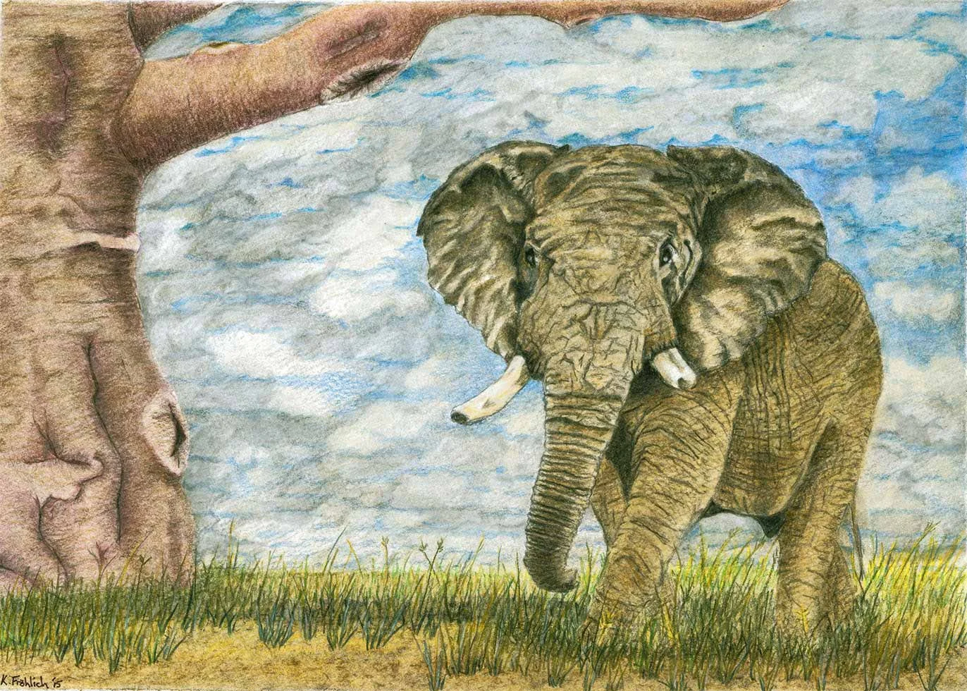 th_elephant.jpg