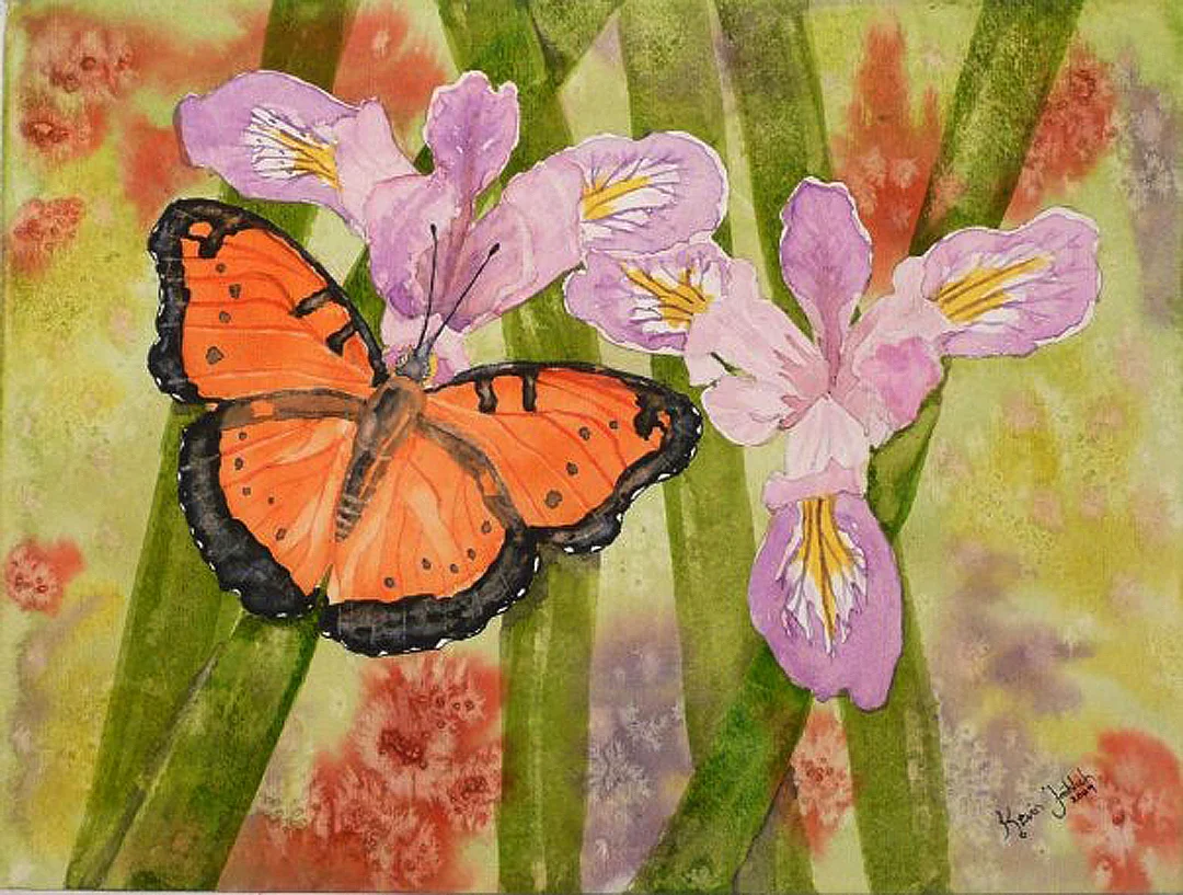 Butterfly.jpg