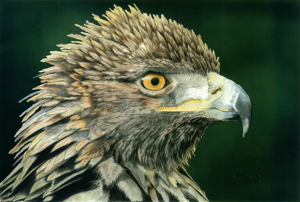 Eagle2satsm.jpg
