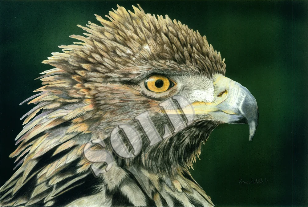 Eagle2satsmsold.jpg