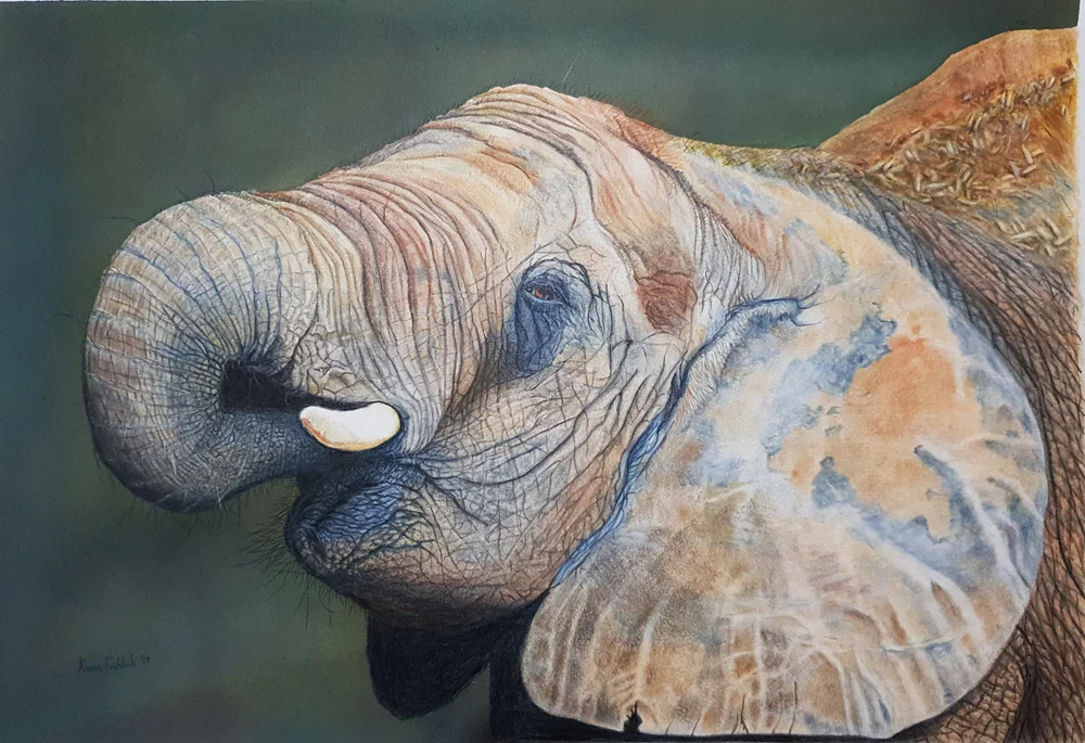 Elephantsm.jpg