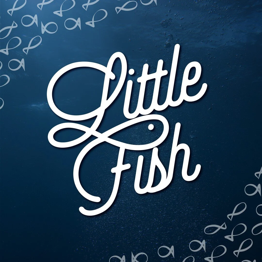 Supplements + Blue = Little Fish &ndash; fish oil tablets 🐟
.
#nzdesigner #freelancegraphicdesigner #logos #logoinspire #brandidentity #logodesigner #customlogo #logodesigns #logoinspirations #professionallogo #businesslogo #identity #branding #logo