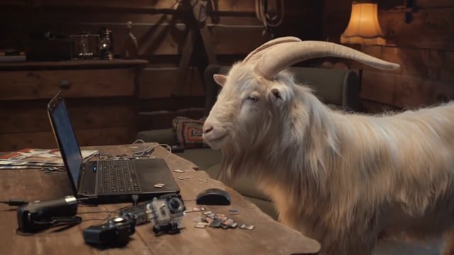 TomTom "Baaaad ass Bill"
