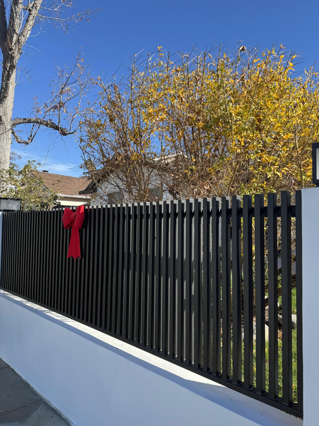 Fencing project 17 by Mission Iron Works