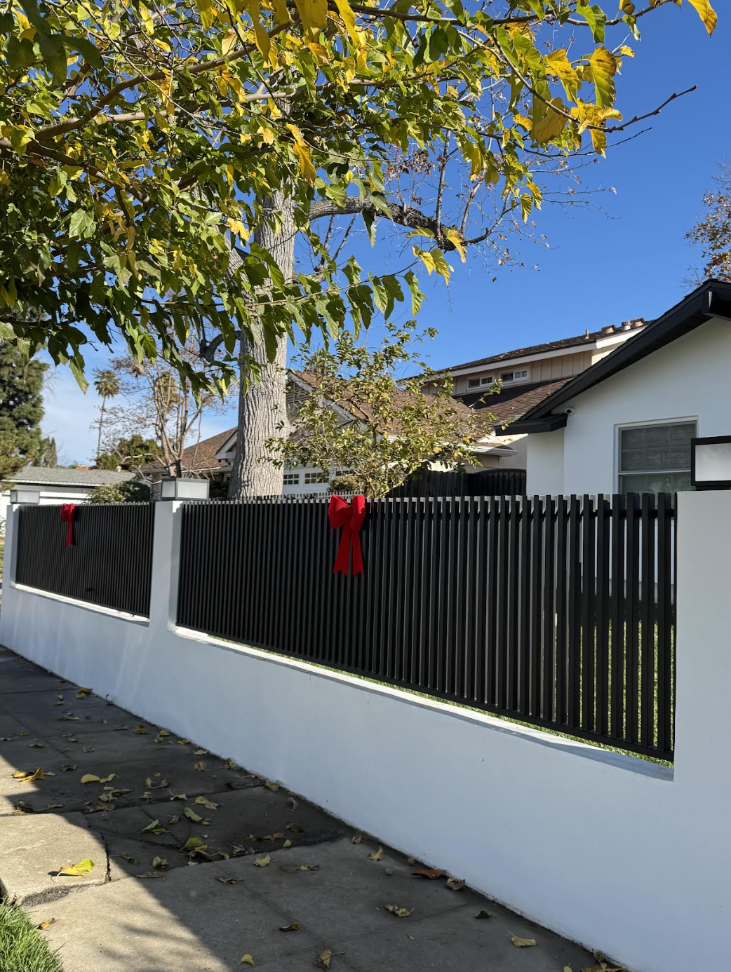 Fencing project 18 by Mission Iron Works