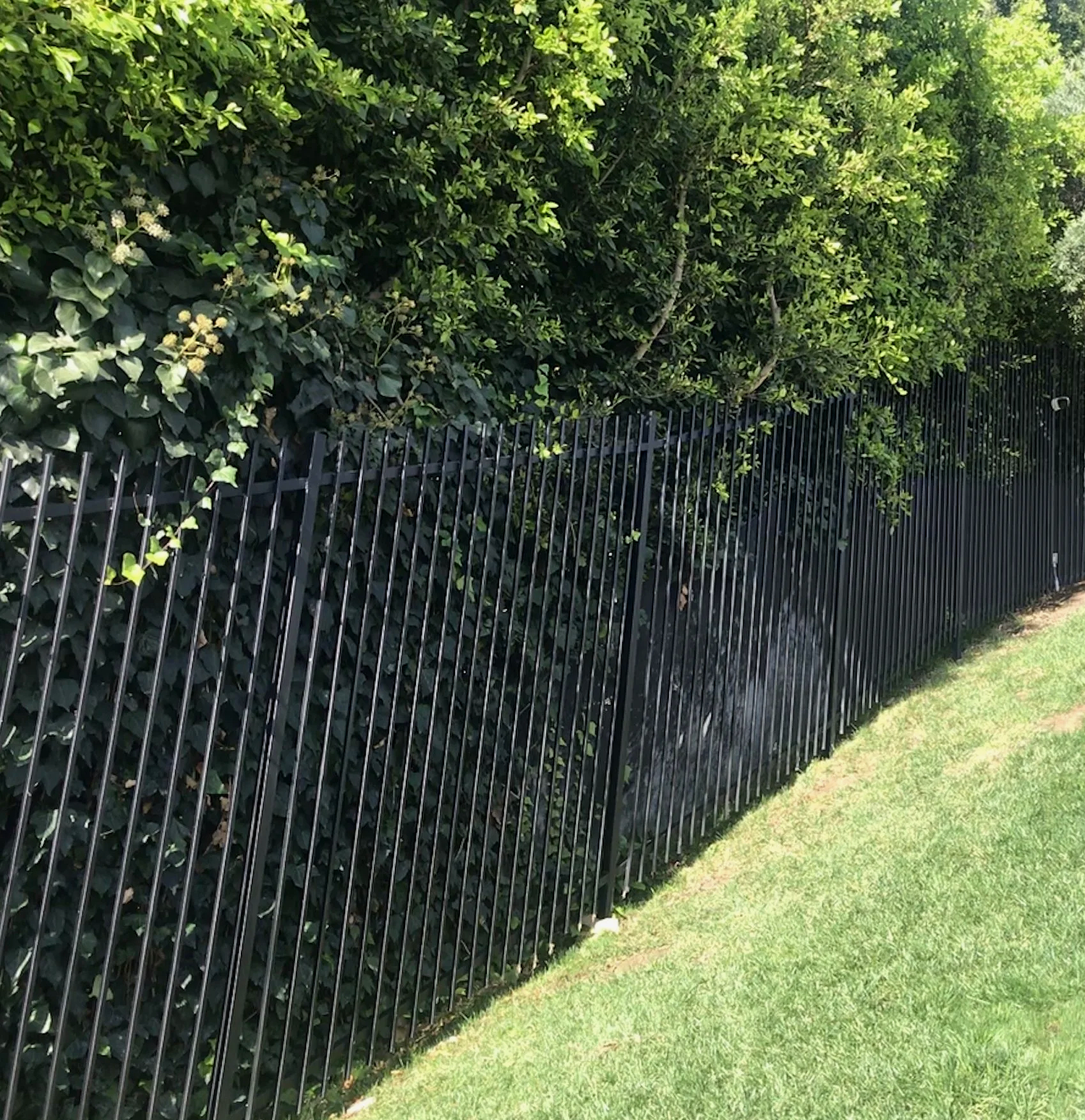 Fencing project 30 by Mission Iron Works