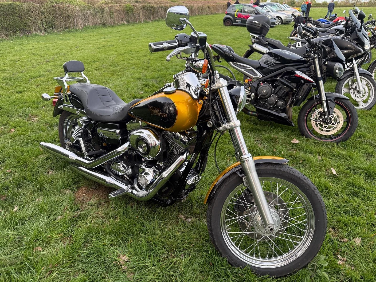 WhatsApp Image 2026-04-17 at 03.04.35 (3).jpeg