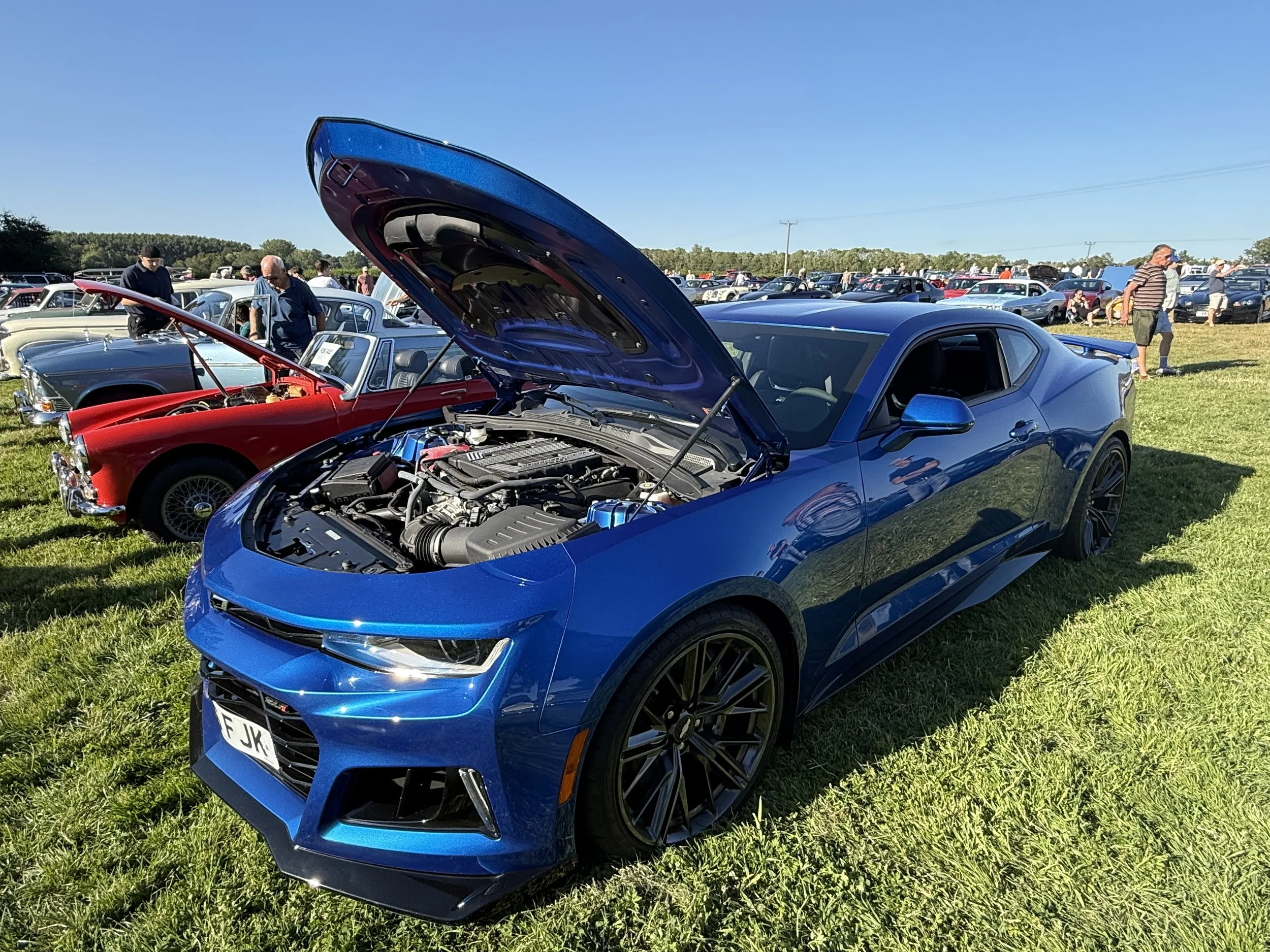 IMG_9473.jpeg