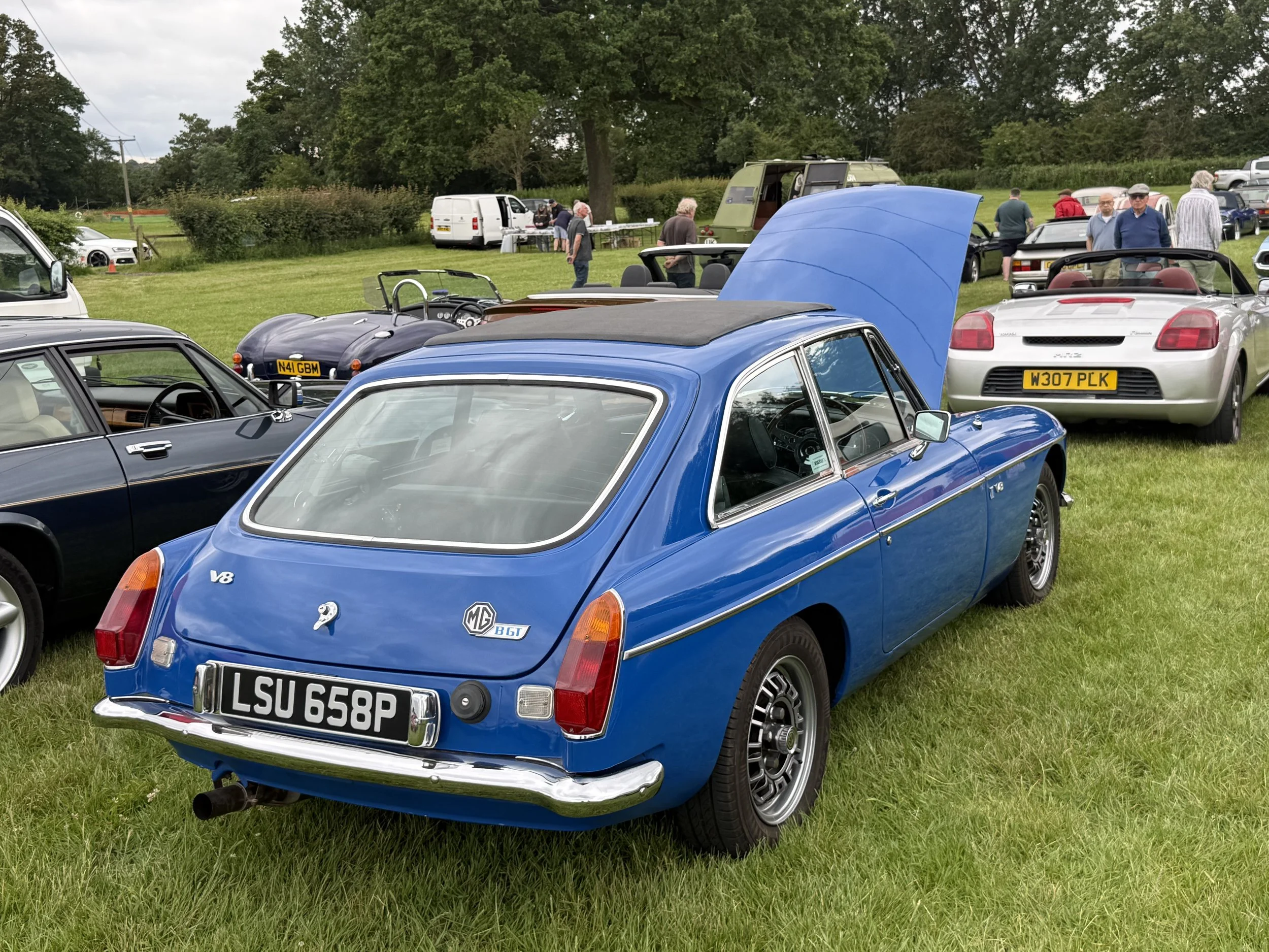 IMG_9135.jpeg