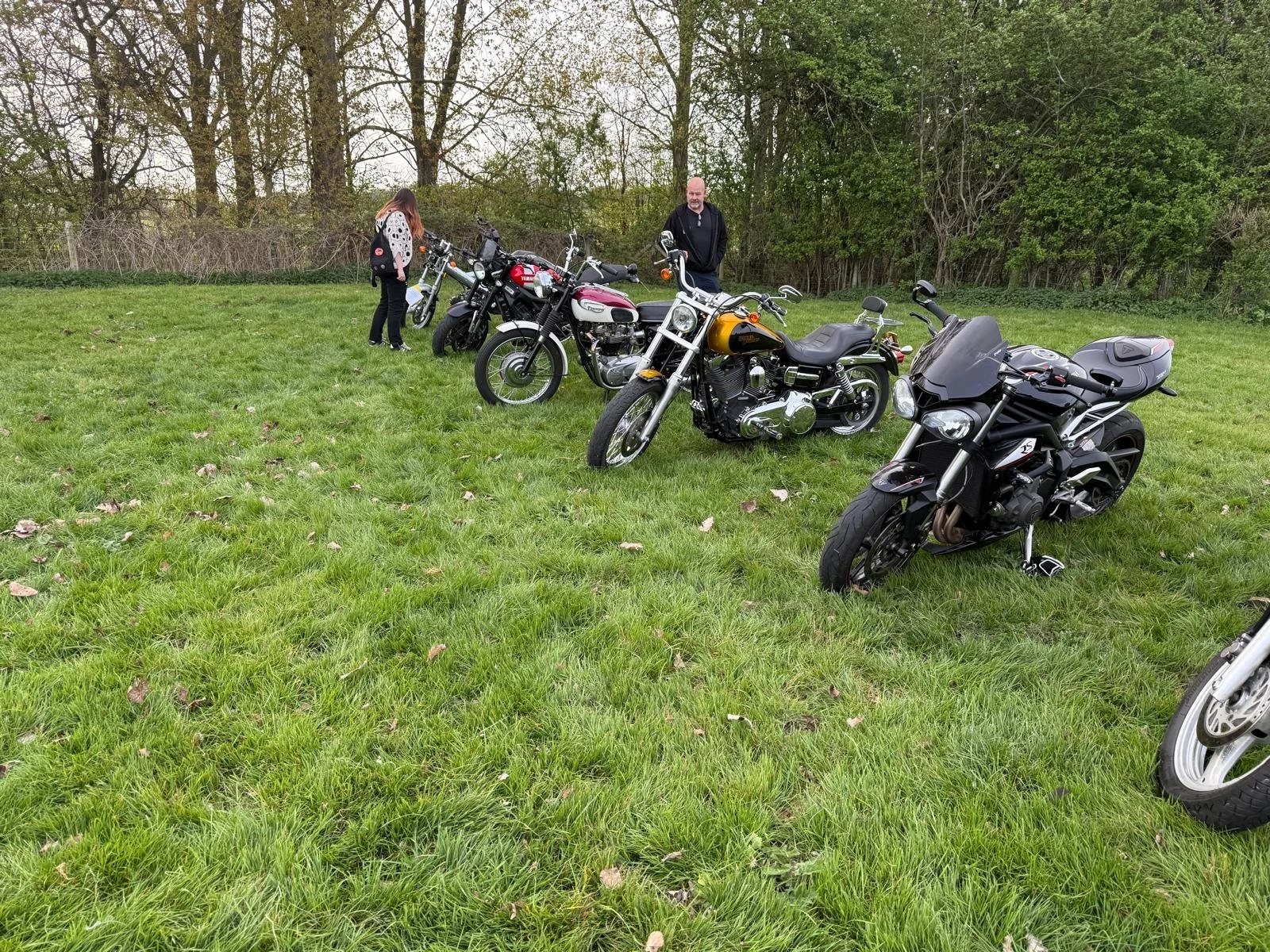 WhatsApp Image 2026-04-17 at 03.04.36 (1).jpeg