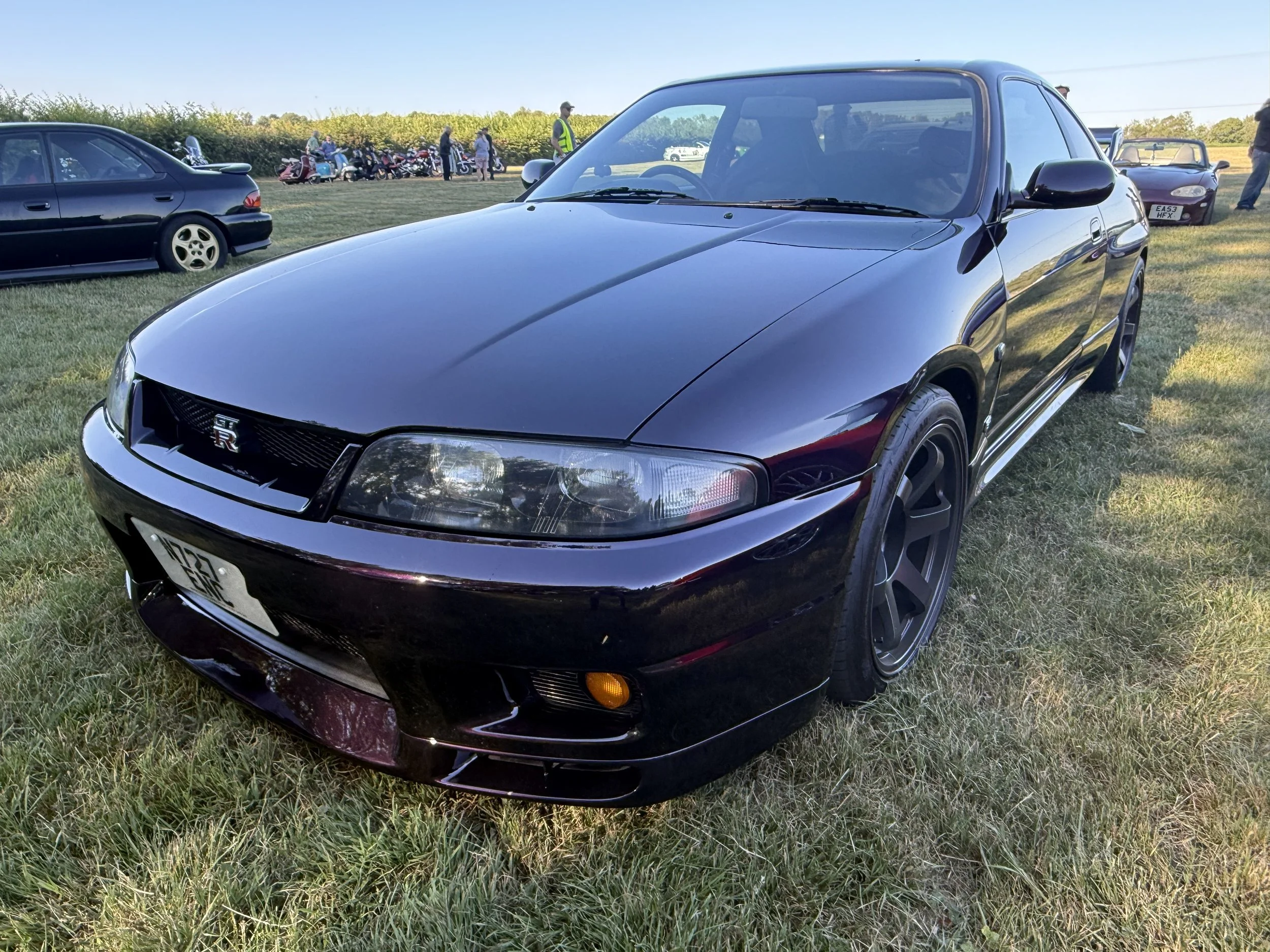 IMG_9487.jpeg