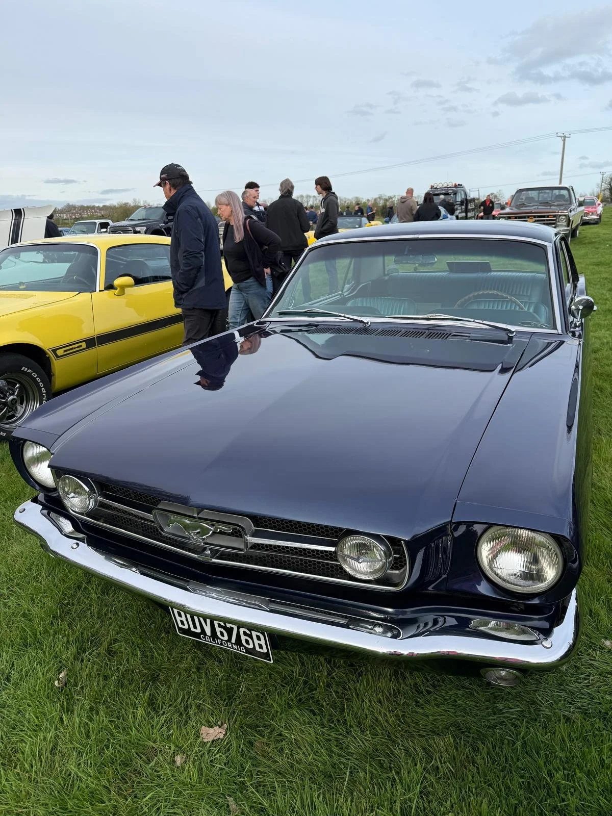 WhatsApp Image 2026-04-17 at 03.04.33.jpeg