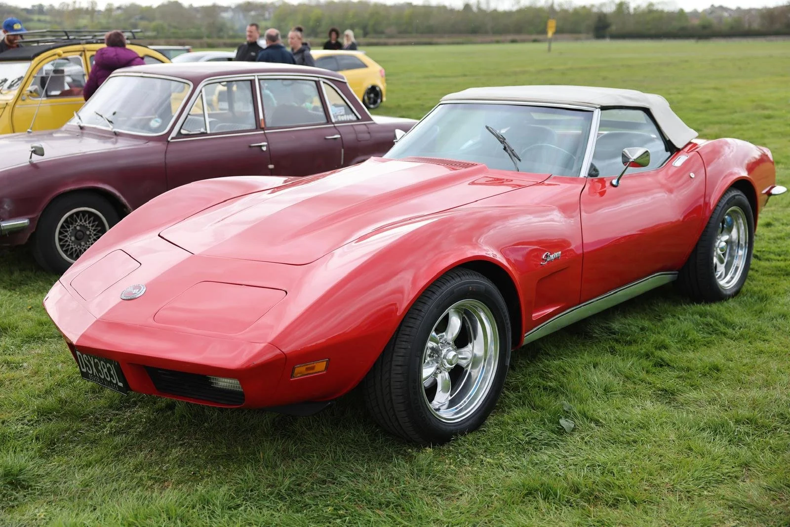 WhatsApp Image 2026-04-17 at 03.04.36 (24).jpeg