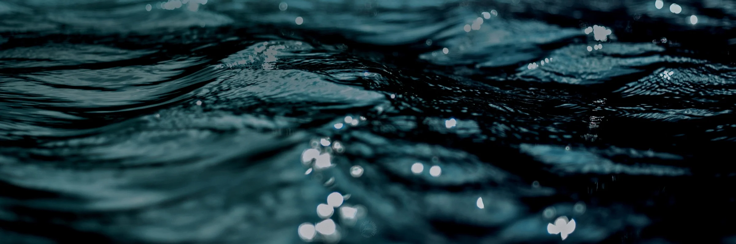 BAPTISM TESTIMONY  |  PIPER TAYLOR