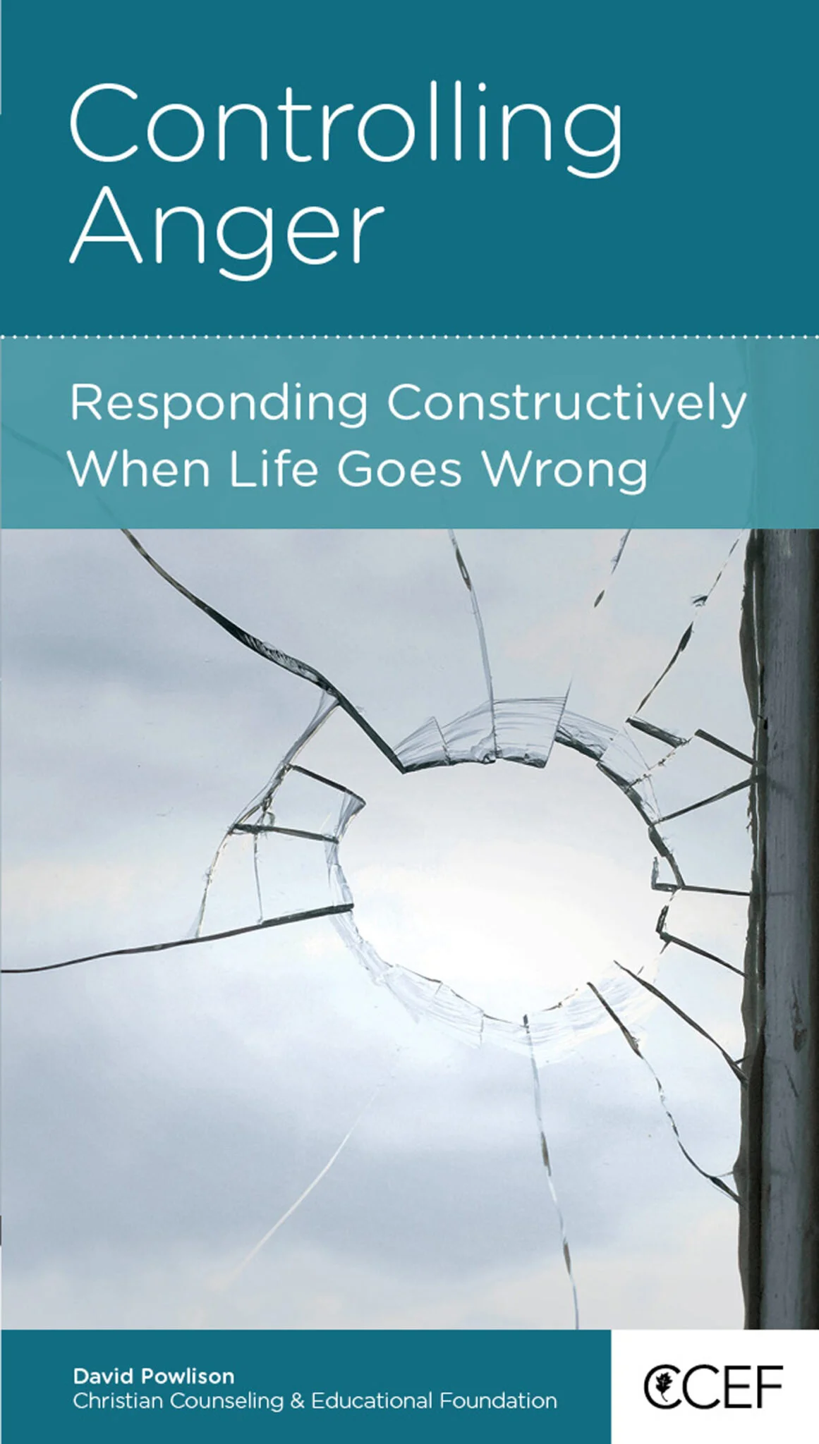 BOOK REVIEW: "CONTROLLING ANGER: RESPONDING CONSTRUCTIVELY WHEN LIFE GOES WRONG" BY DAVID POWLISON