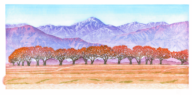 安曇野【立冬】桜並木色づく頃(堀金/烏川)常念岳