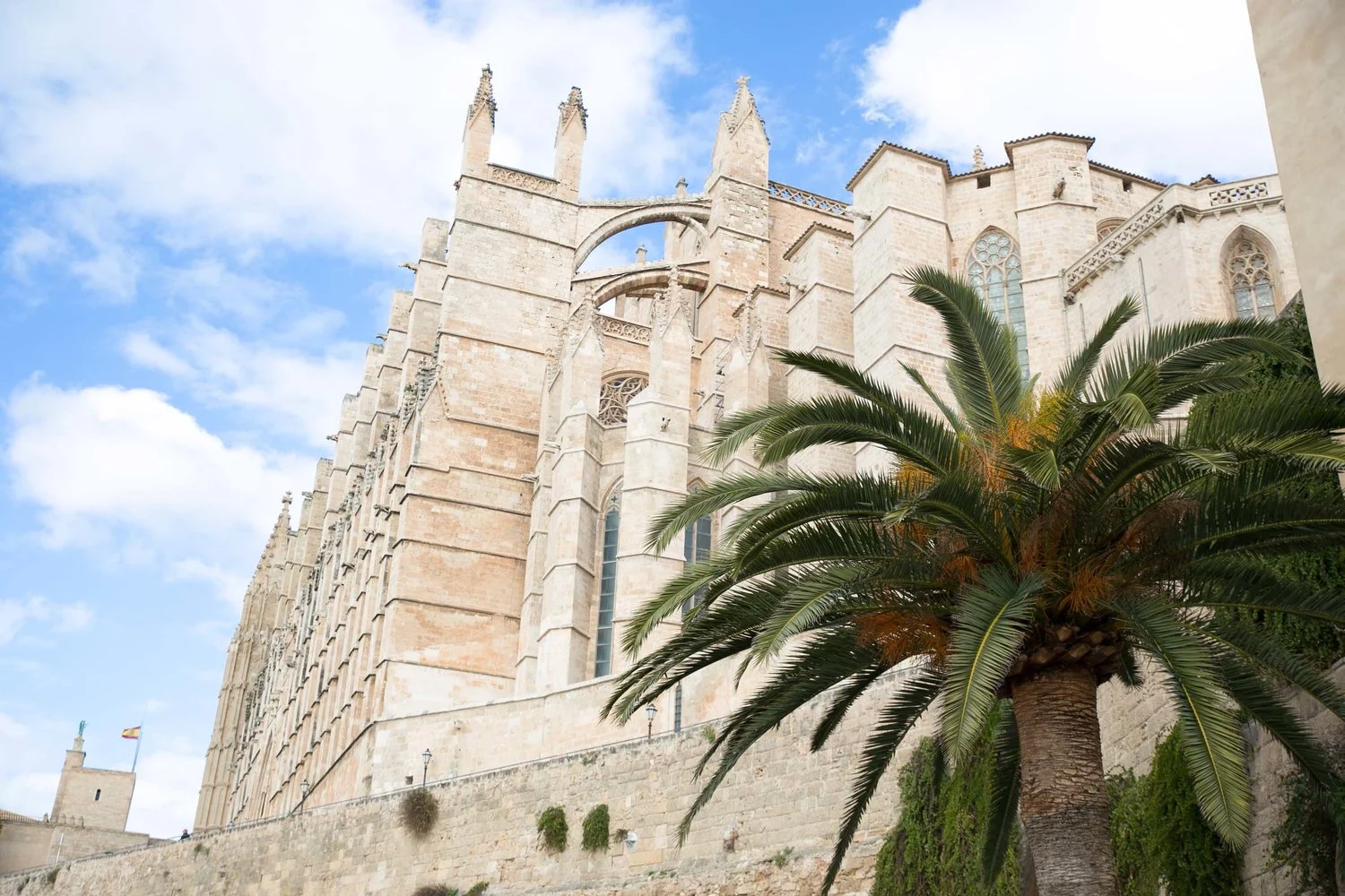 palma mallorca resetips.jpg