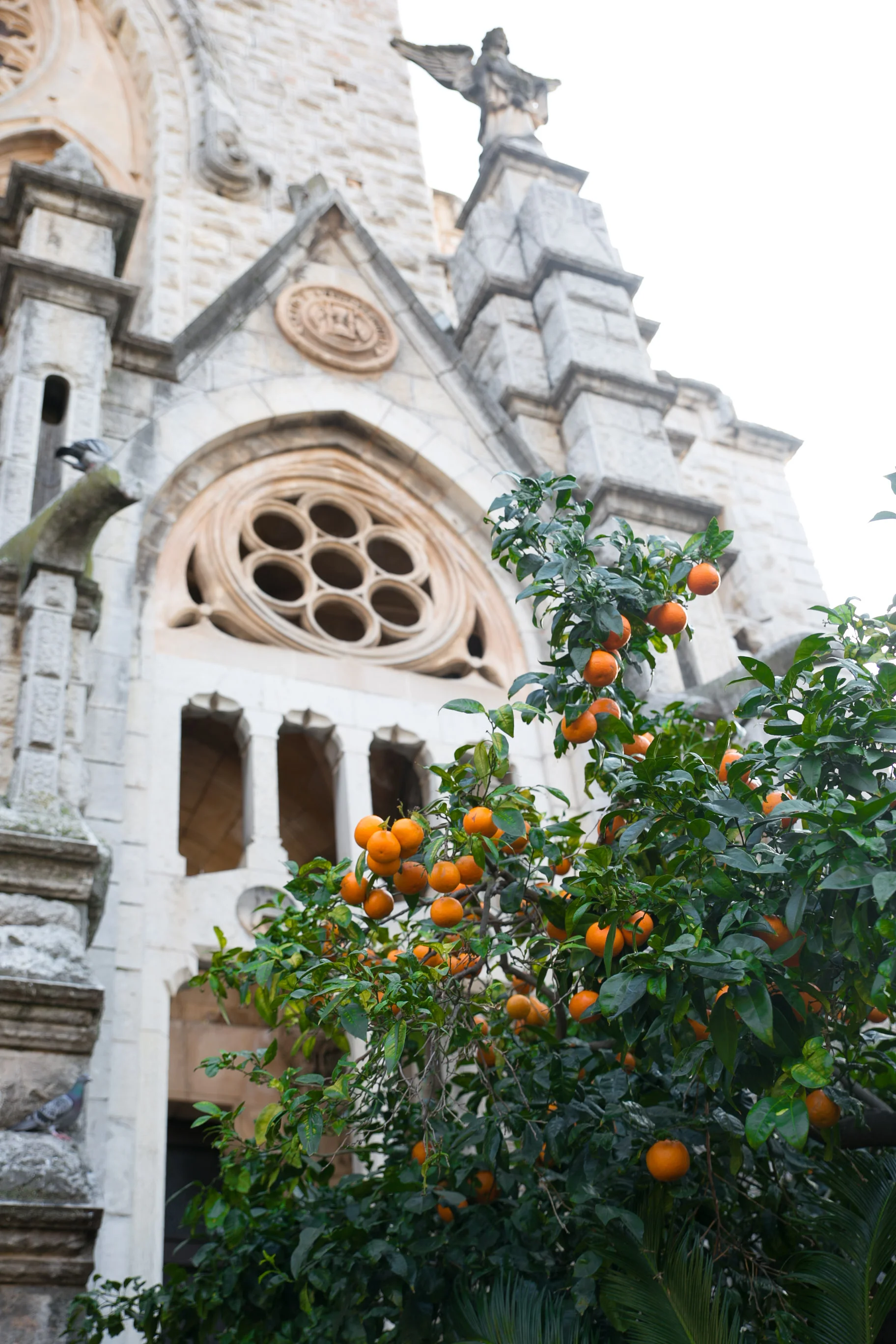 Soller.jpg