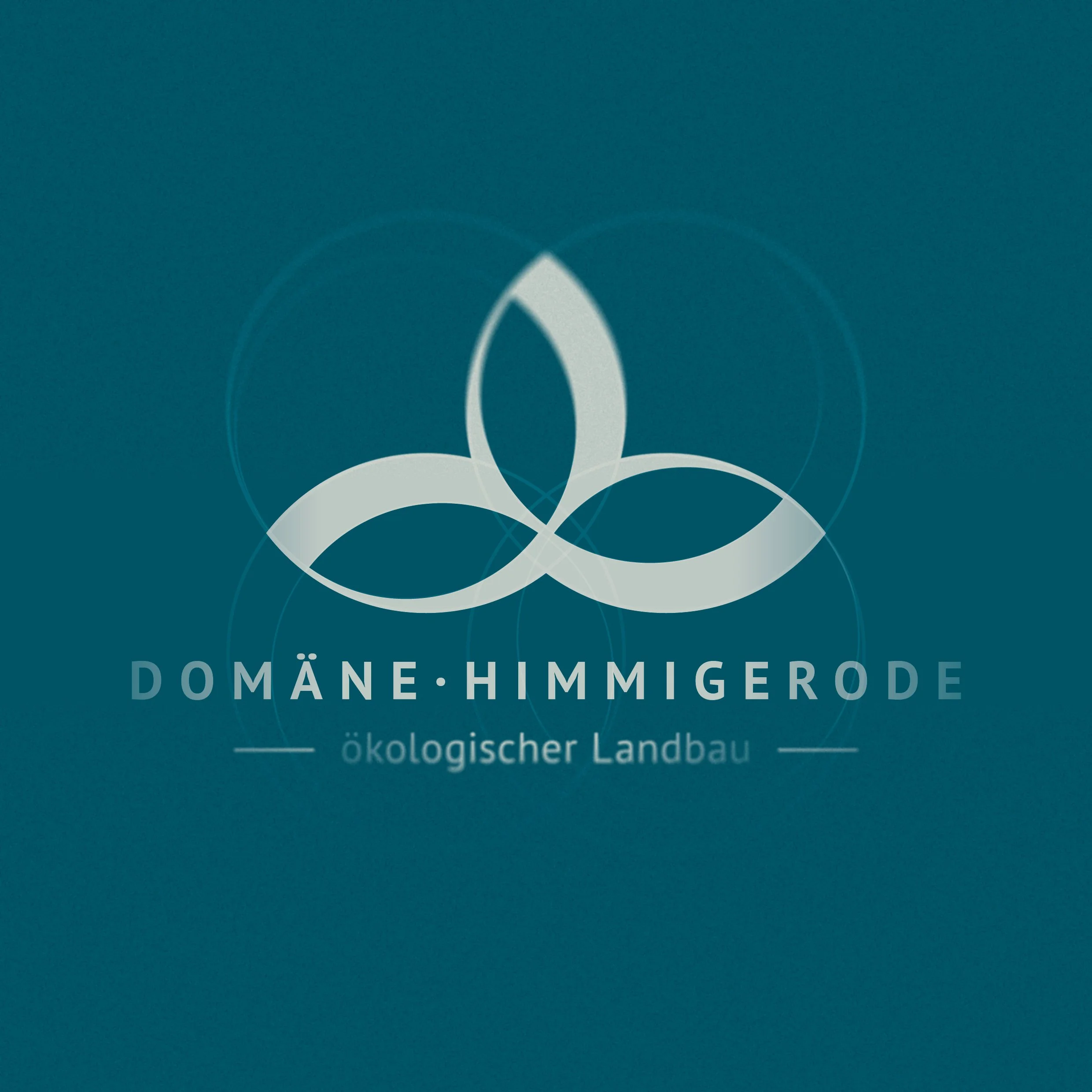 Logo_Domaene_Himmigerode_konstr_bearbeitet.jpg