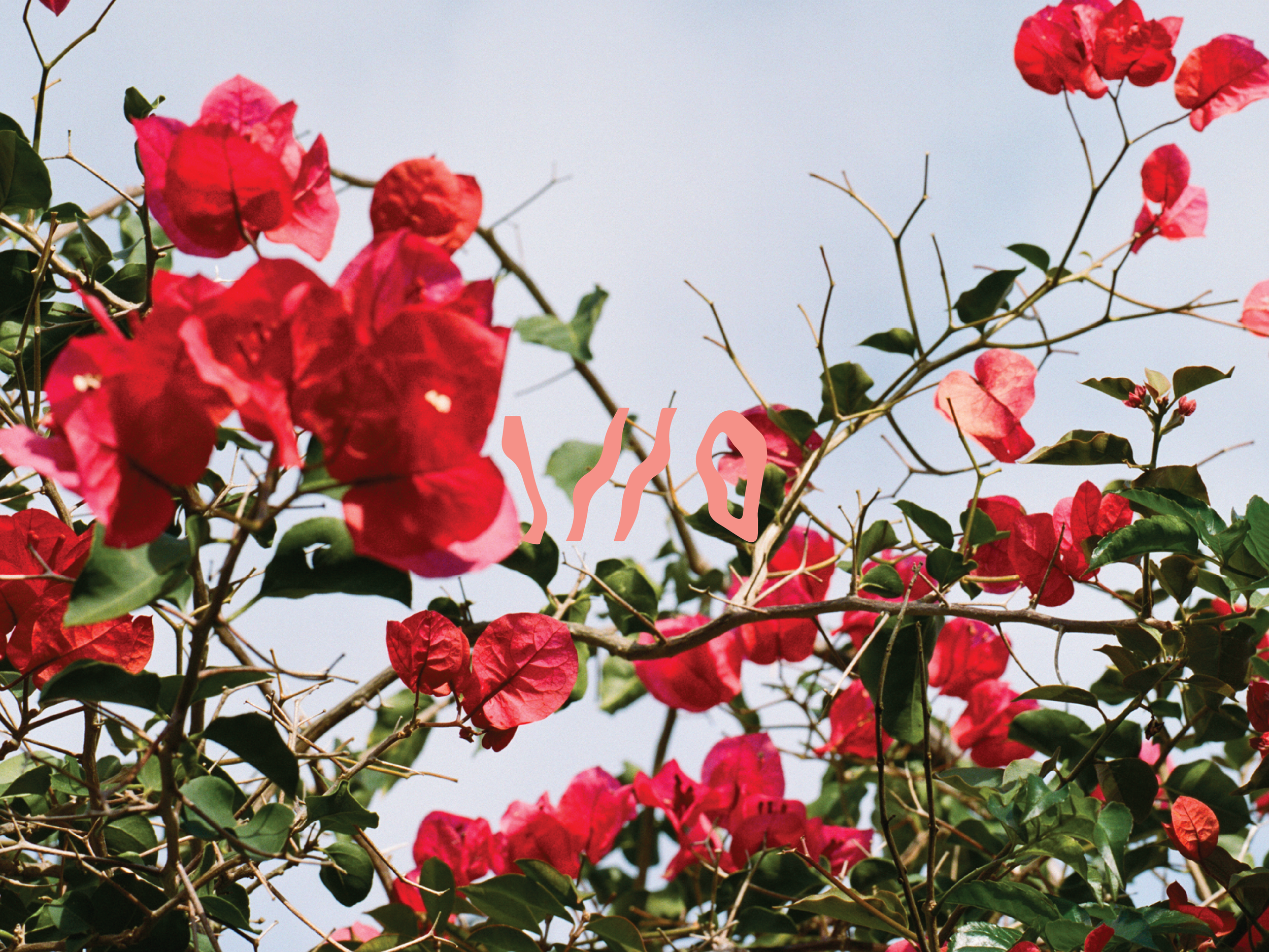 Female Empowerment with Molly &amp; The Chromatics