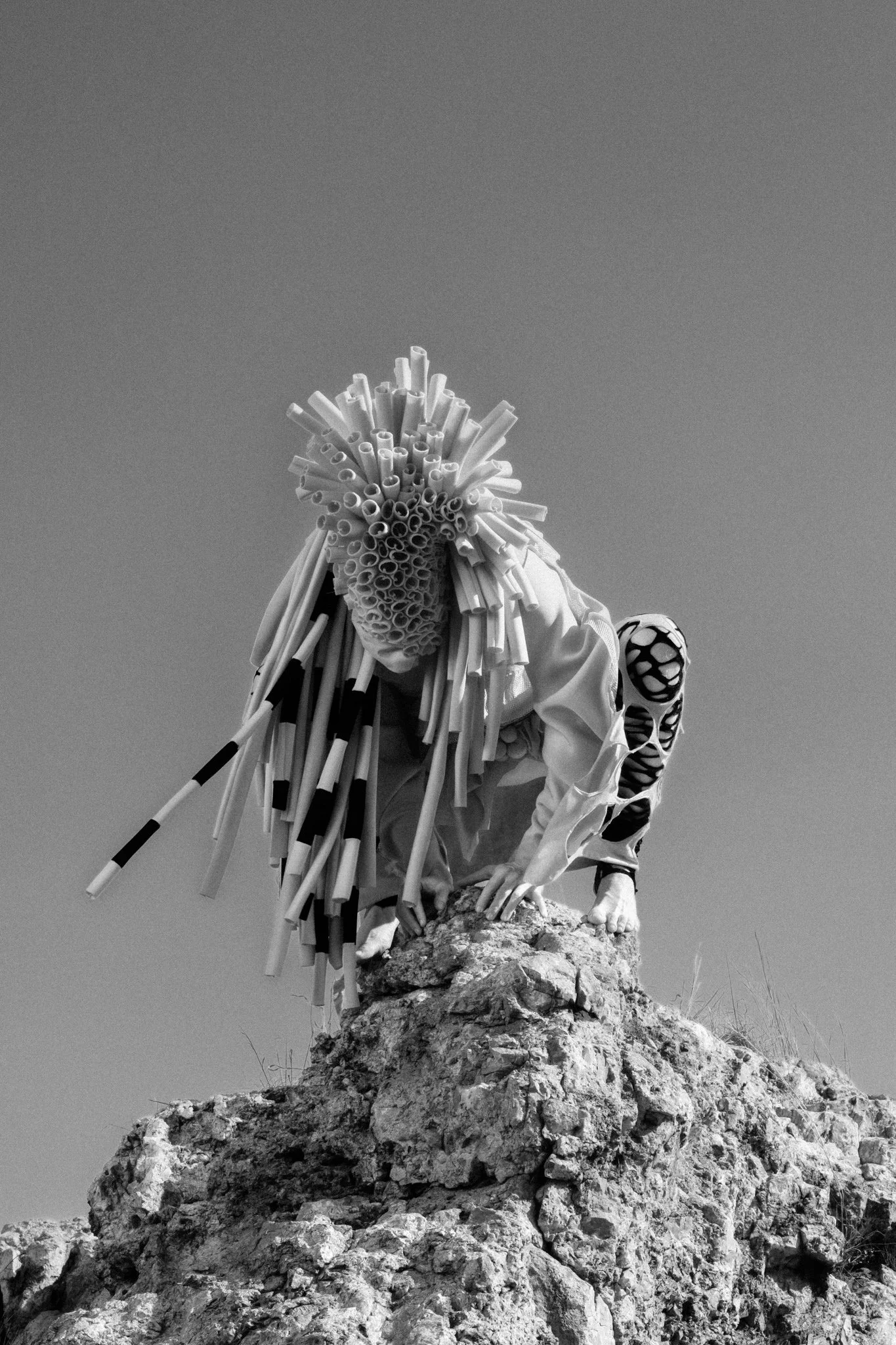 _DSF4631-Edit.jpg