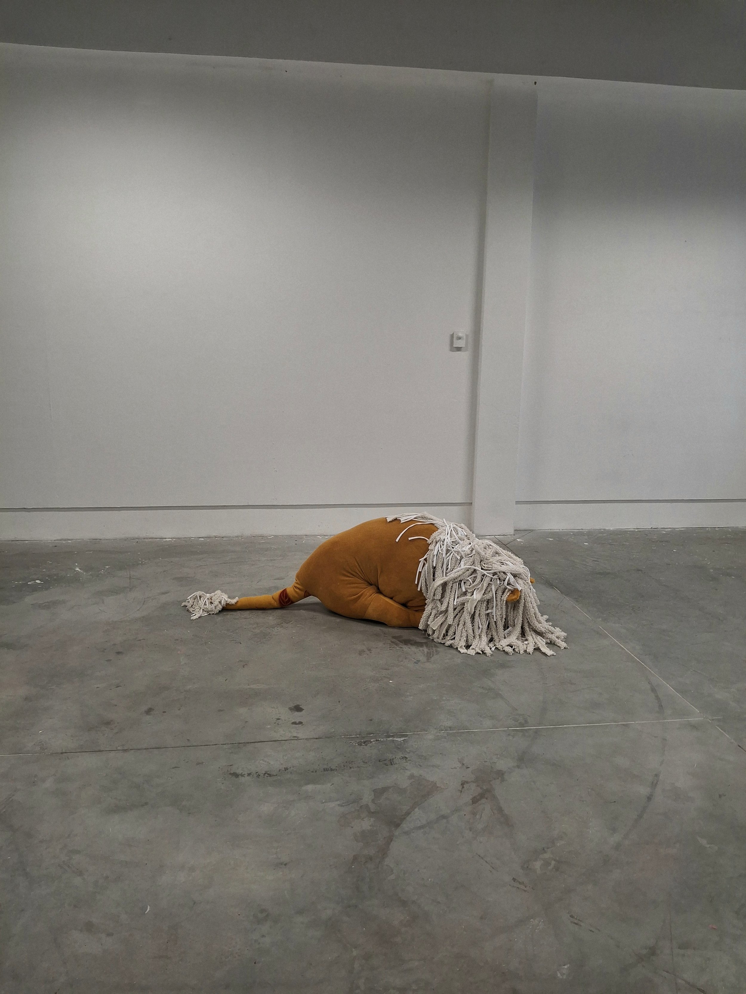 20251006_164730.jpg
