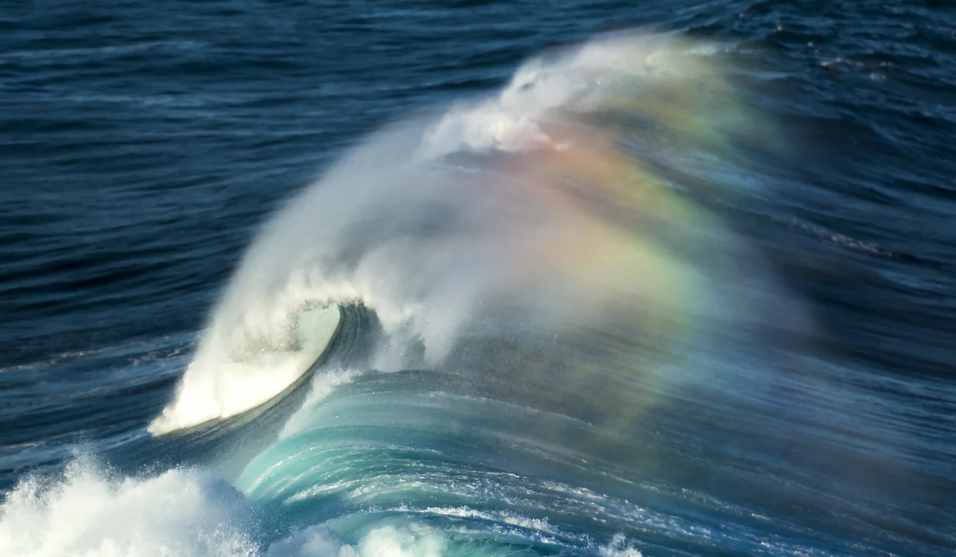 Why is Bondi Beach so popular with tourists?