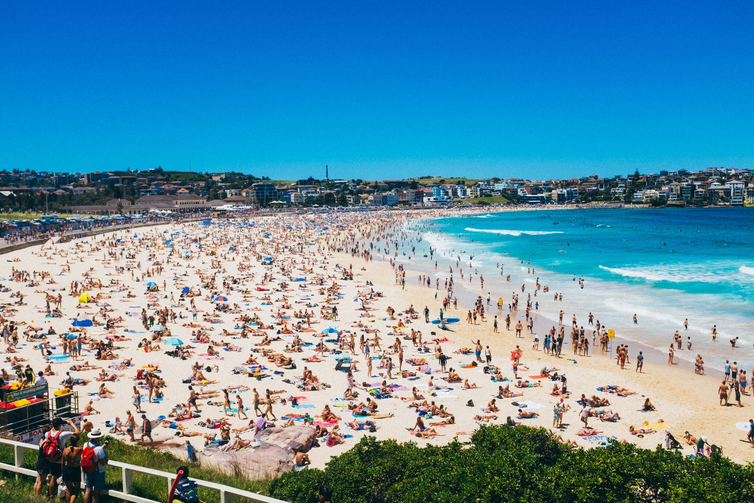 Bondi Bible: your top 20 questions about Bondi Beach answered — Visit Bondi  Beach