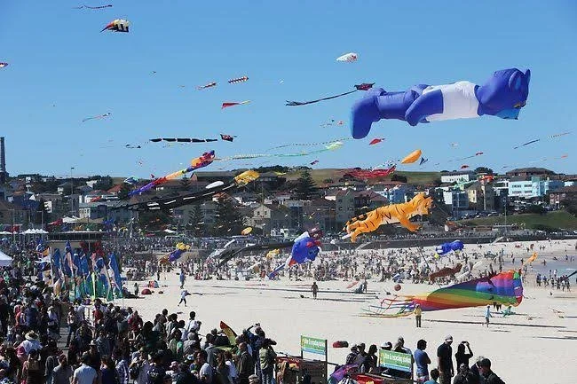 Soaring High at Bondi Beach: Festival of the Winds 2024