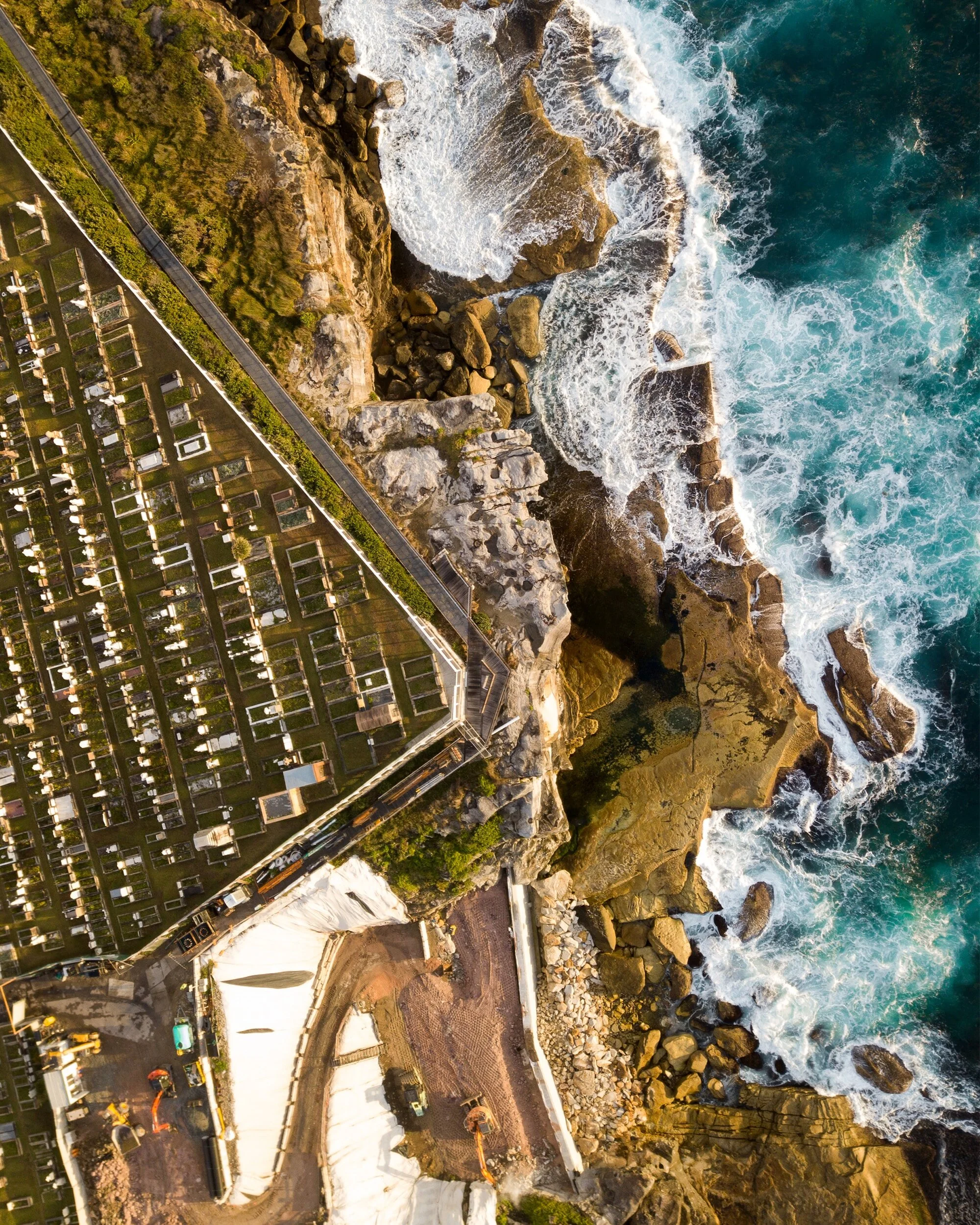 The Eternal Beauty of Waverley Cemetery: Sydney's Historic Resting Place by the Sea