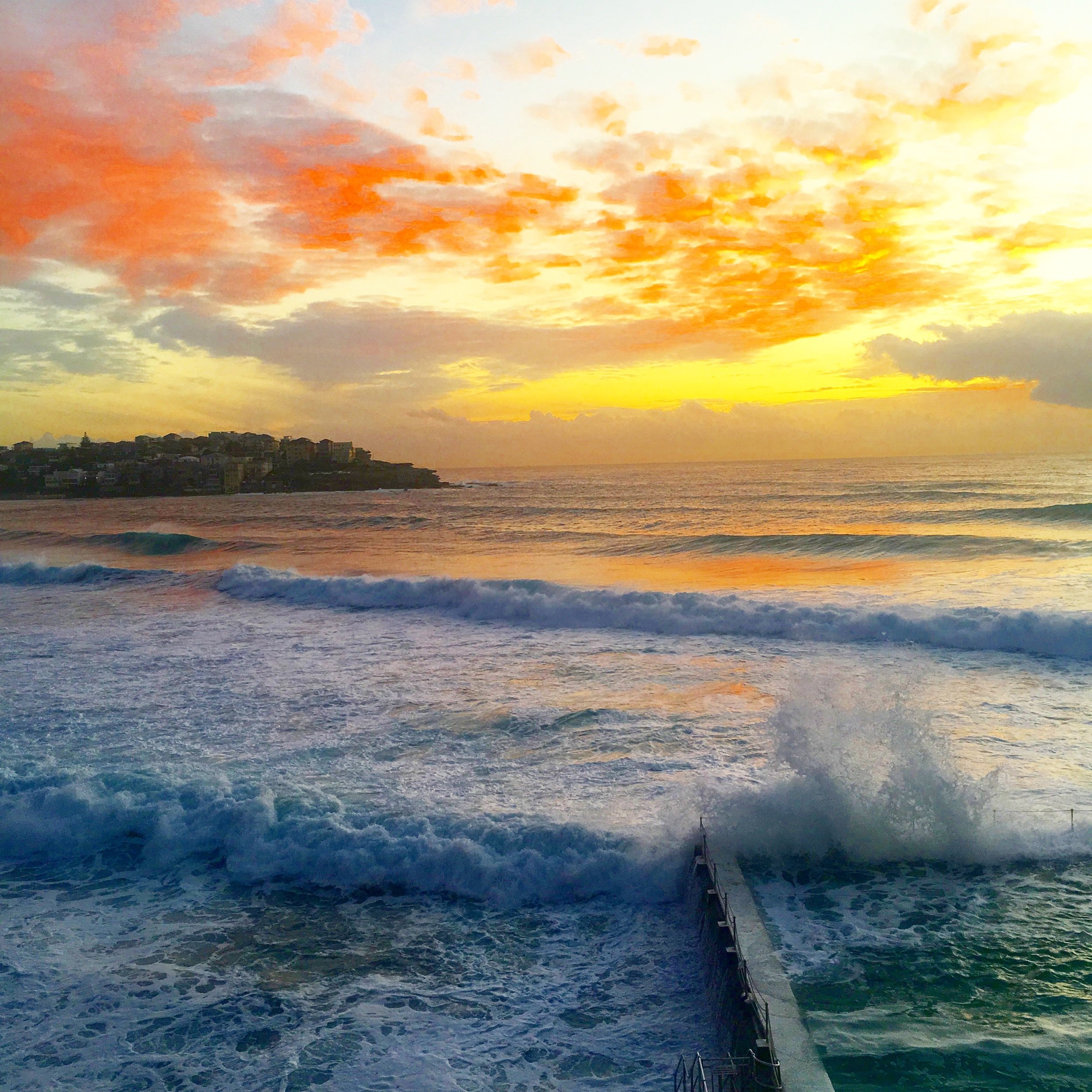 Bondi Beach and the Shark Question: Unraveling the Mystery