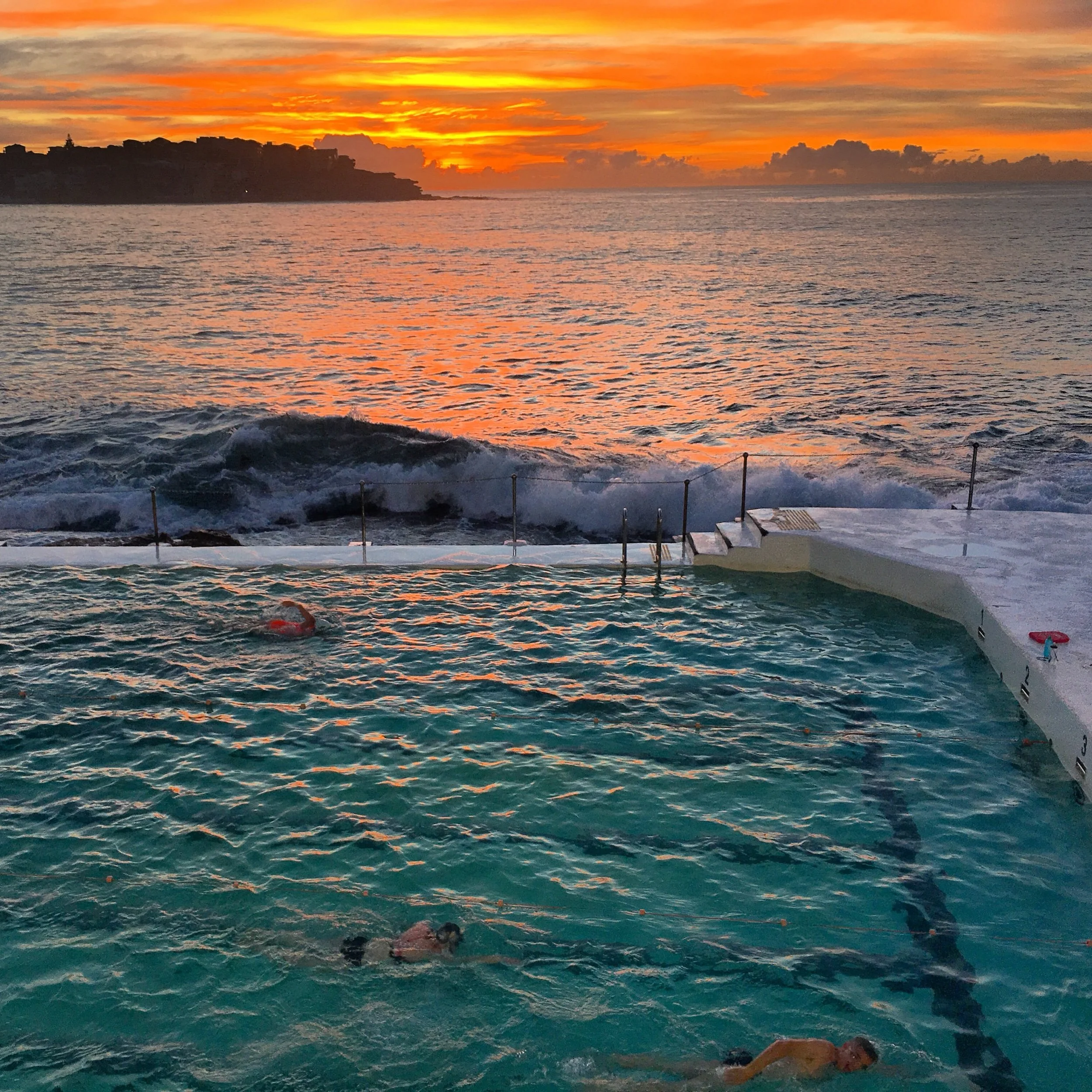 Can the Public Swim at Bondi Icebergs Ocean Pool?