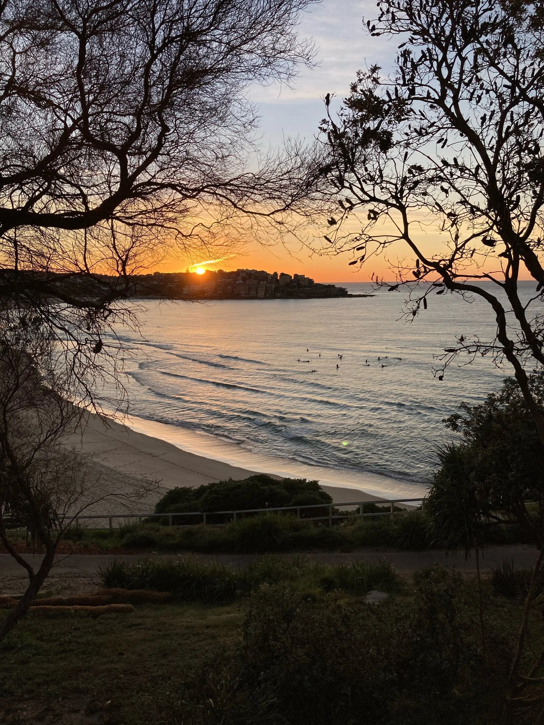 Moving to Bondi: Your Complete Guide to Life by the Beach