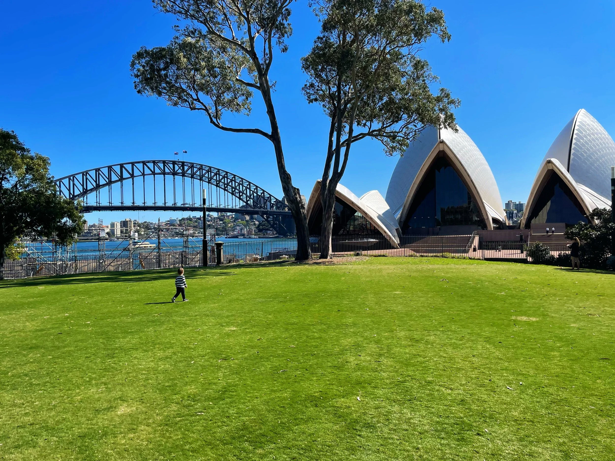 Top 50 Activities to Do in Sydney: A Local’s Guide