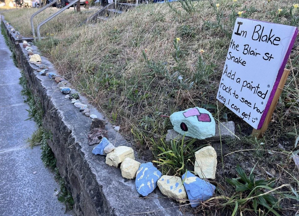 Are There Snakes in Bondi?