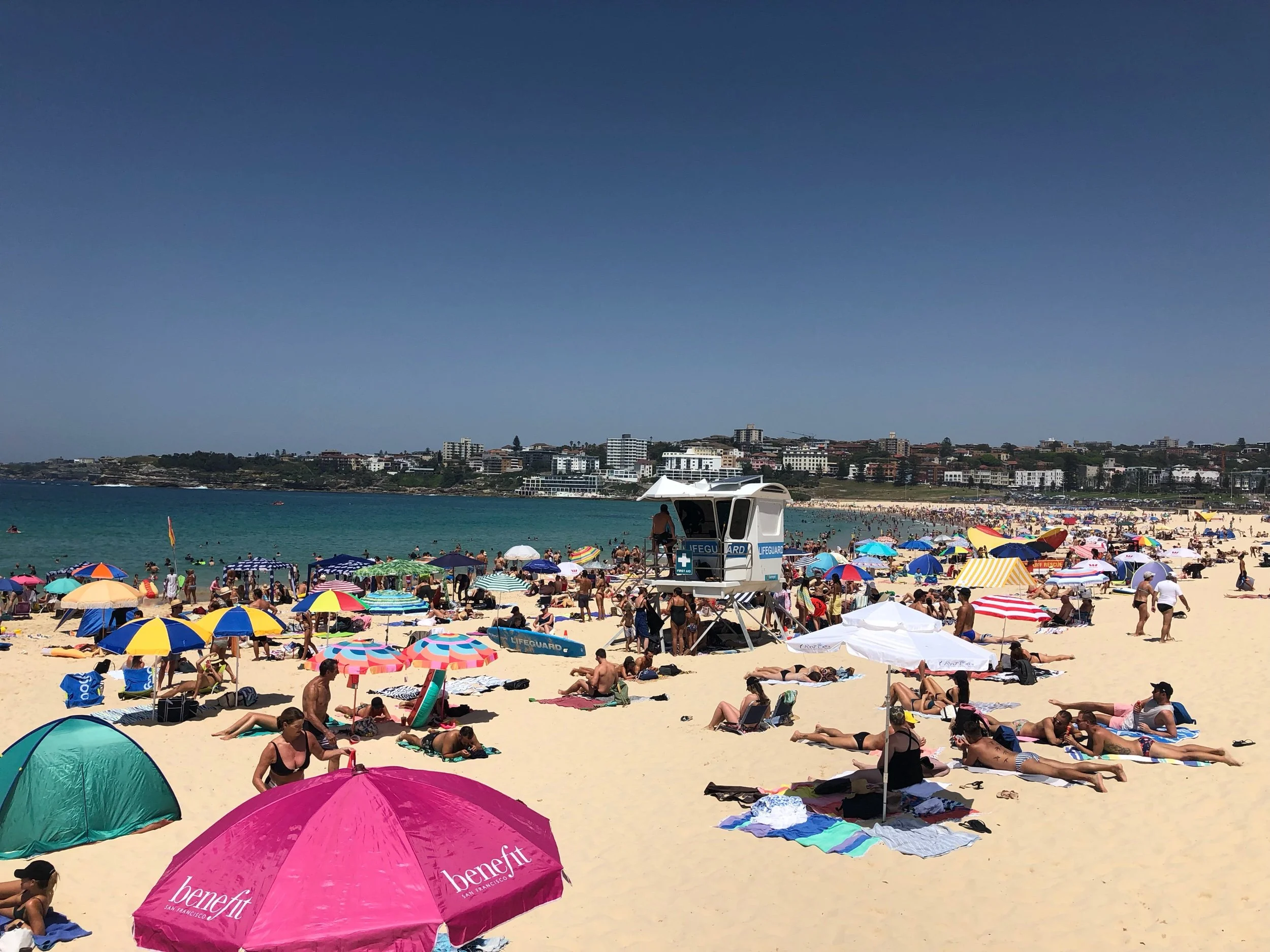 Bondi’s Best Cafés Right Now: Where to Eat, Sip and Soak Up the Beach Vibe