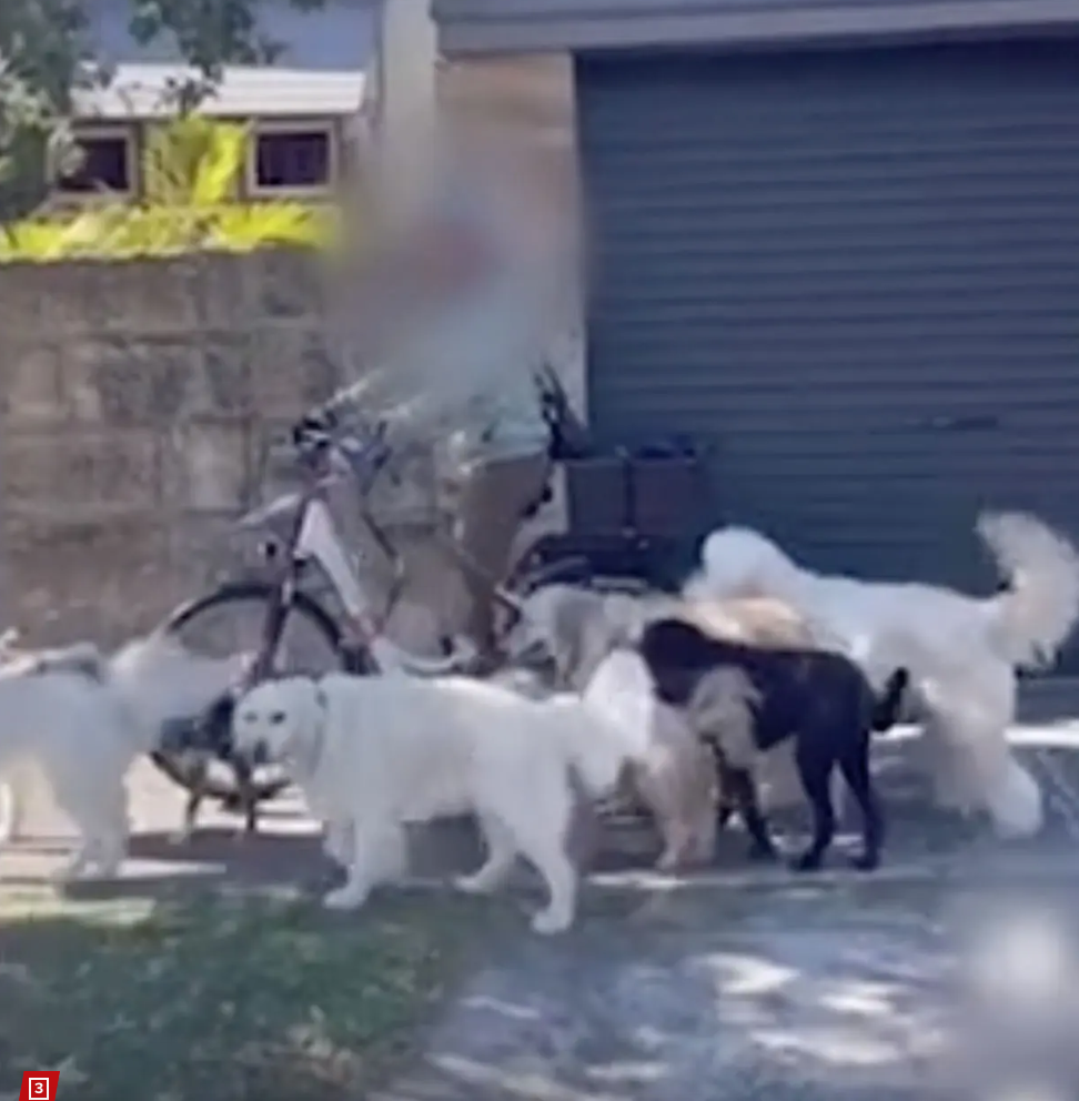 Ranked 30-1: Bondi Local Loop’s biggest Headline Grabbing controversies of all time